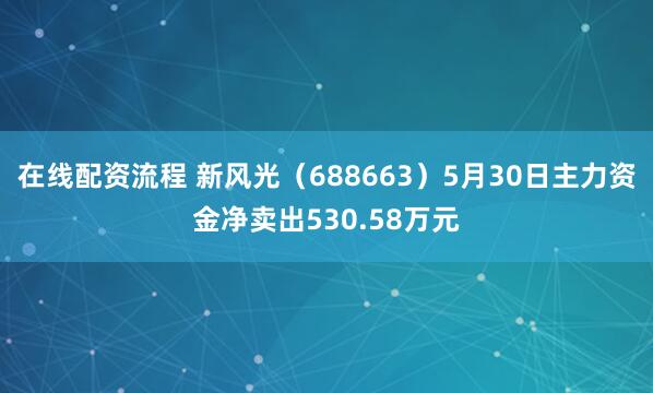 在线配资流程 新风光（688663）5月30日主力资金净卖出530.58万元